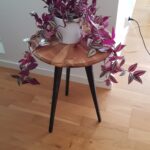 Small plant table: Oak